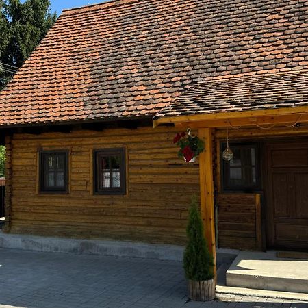 Casuta Cu Tihna Βίλα Porumbacu de Sus Εξωτερικό φωτογραφία